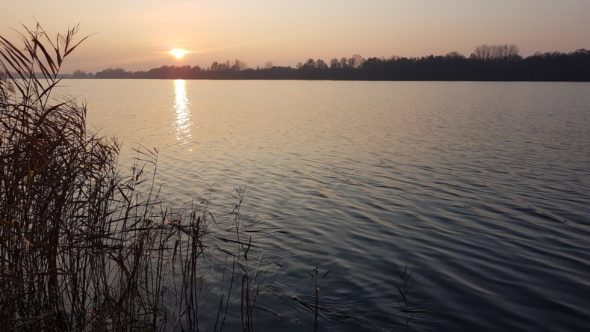 Jezioro Kiekrz w Wielkopolsce. Fot. Mirosław Perzyński