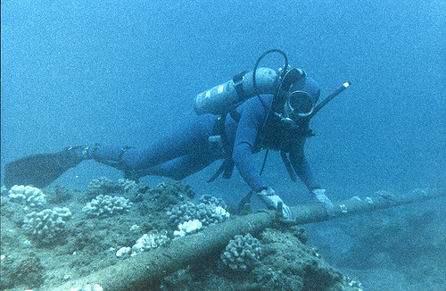 Kabel podmorski. Fot.: Flickr
