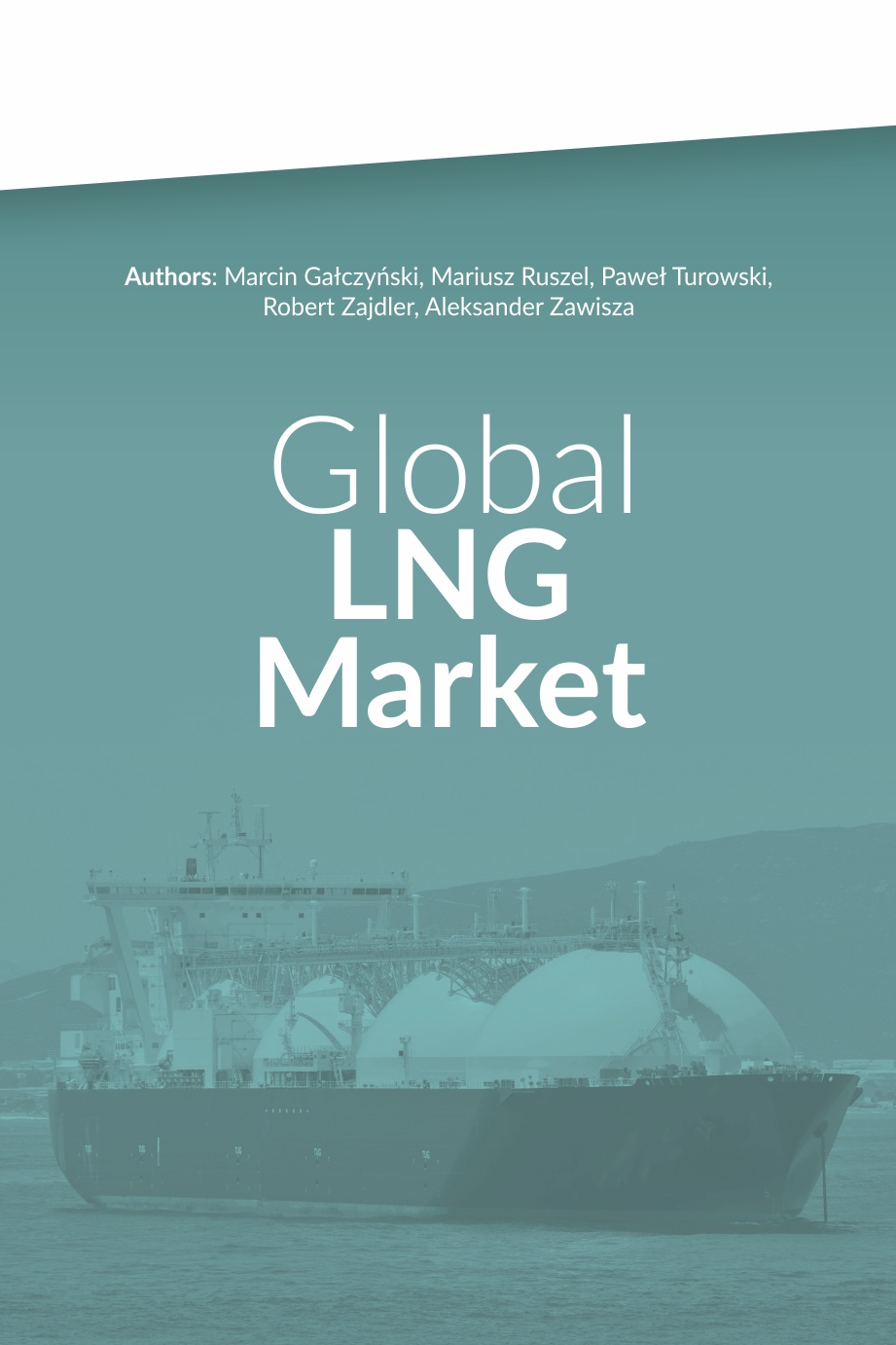 Global LNG Market. Fot. BiznesAlert.pl
