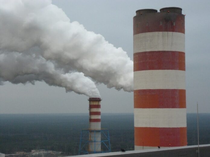 Kominy w Elektrowni Kozienice. Fot. BiznesAlert.pl