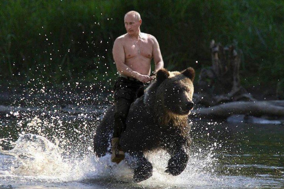 Mem z Putinem na niedźwiedziu (fotomontaż). Fot. Twitter