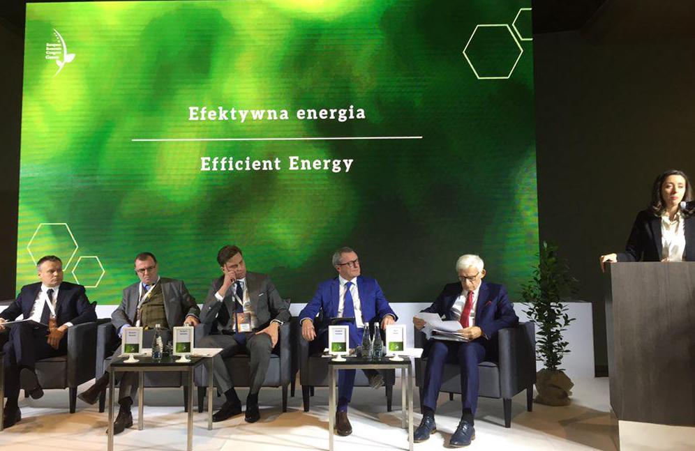 Efektywna energia podczas EECGreen w Katowicach. Fot. BiznesAlert.pl