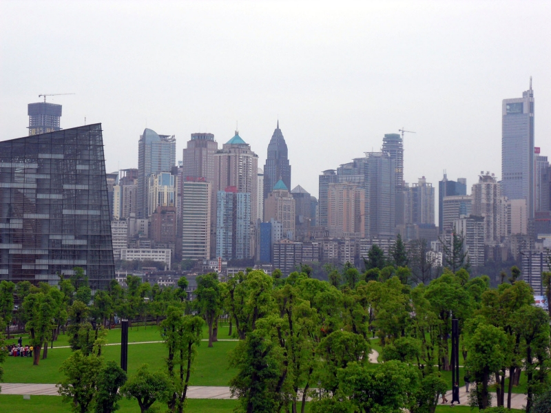 Las w chińskim mieście Chongqing. Źródło: Wikicommons