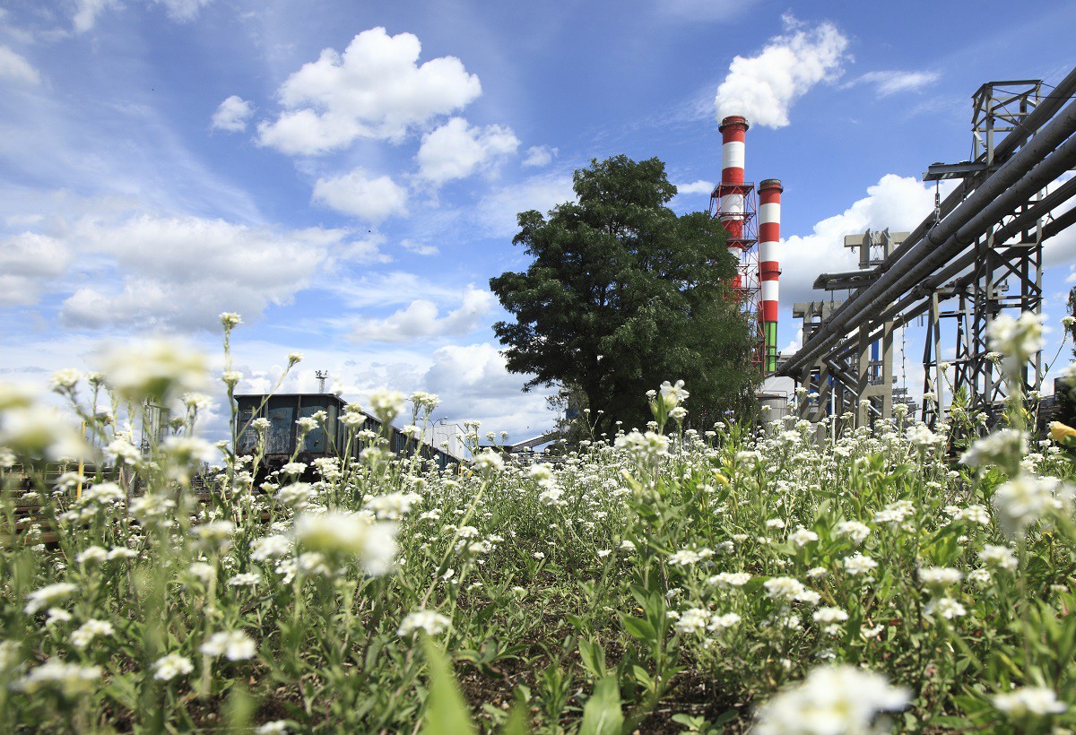 Elektrownia Ostrołęka. Fot. Energa