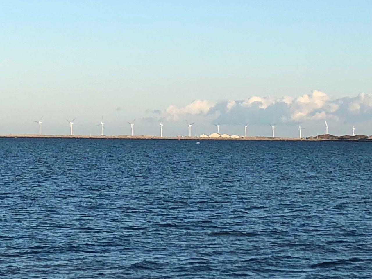 Morska farma wiatrowa Middelgrunden w pobliżu Kopenhagi. Fot. BiznesAlert.pl/Bartłomiej Sawicki