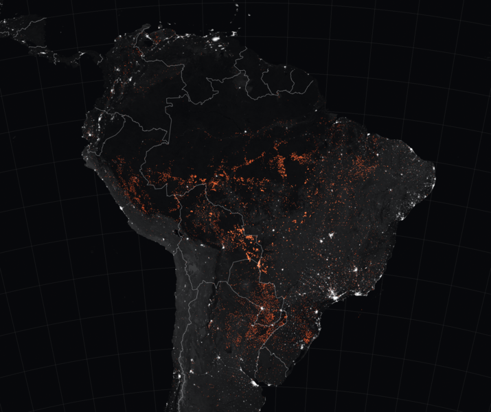 Pożary w Amazonii widziane z kosmosu. Źródło: Wikipedia