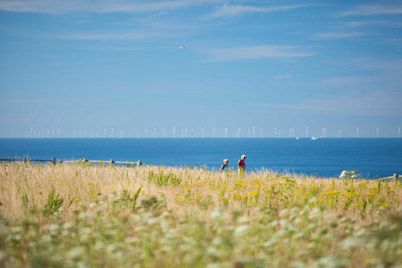 Morskie Farmy Wiatrowe. Fot.: Wind Europe