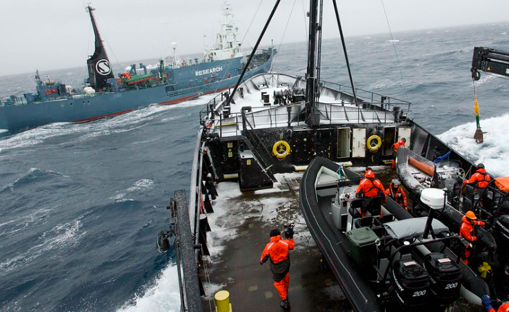 Akcja SSCS przeciwko wielorybnikom. Źródło: Flickr