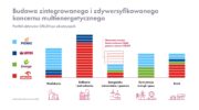 Efekt fuzji. Grafika: PKN Orlen