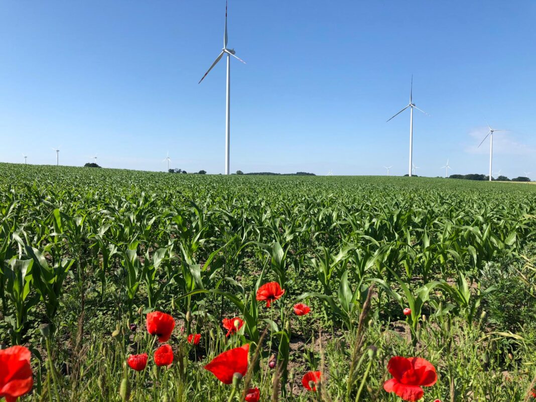 Farma Wiatrowa Starza/Rybice PGE. Fot.; Bartłomiej Sawicki/BiznesAlert.pl