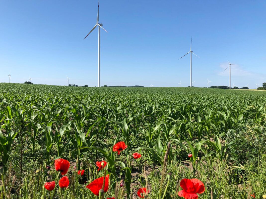 Farma Wiatrowa Starza/Rybice PGE. Fot.; Bartłomiej Sawicki/BiznesAlert.pl