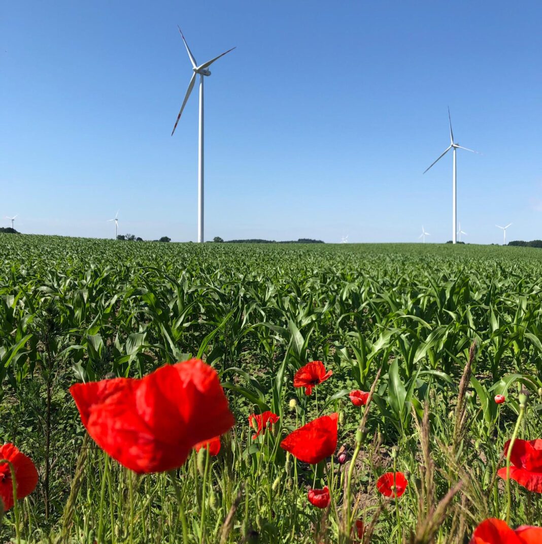 Farma Wiatrowa Starza/Rybice PGE. Fot.; Bartłomiej Sawicki/BiznesAlert.pl