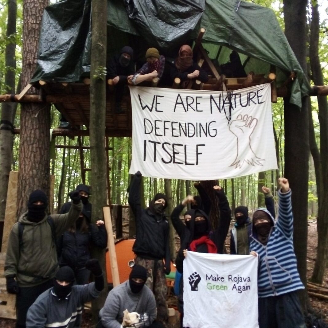 Ekolodzy Danneröder Forst. Fot. Dannenröder Waldbesetzung/Twitter