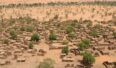 Wioska w Mali. Źródło: Wikicommons