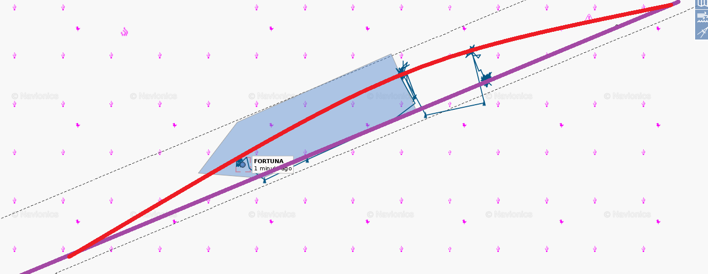 Linia fioletowa oznacza gazociąg leżący na dnie, linia czerwona gazociąg znajdujący się nad powierzchnią wody, fot. Mariusz Marszałkowski