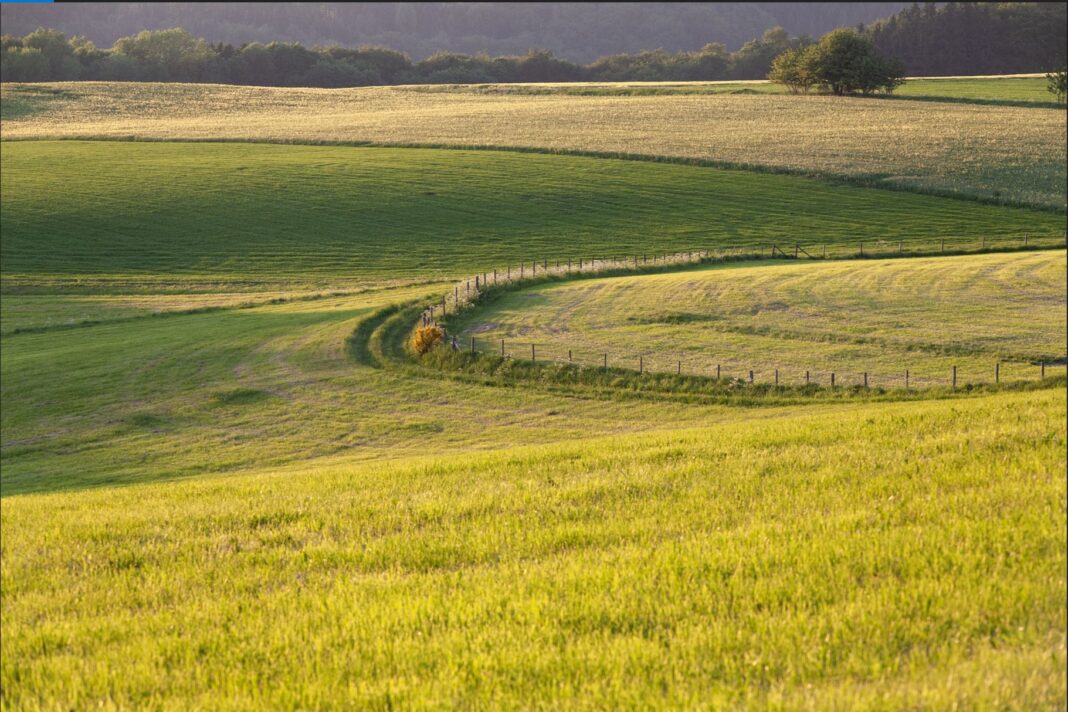 Wieś w Niemczech. Fot. freepik