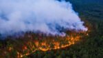 Pożar Syberii fot. Greenpeace.ru