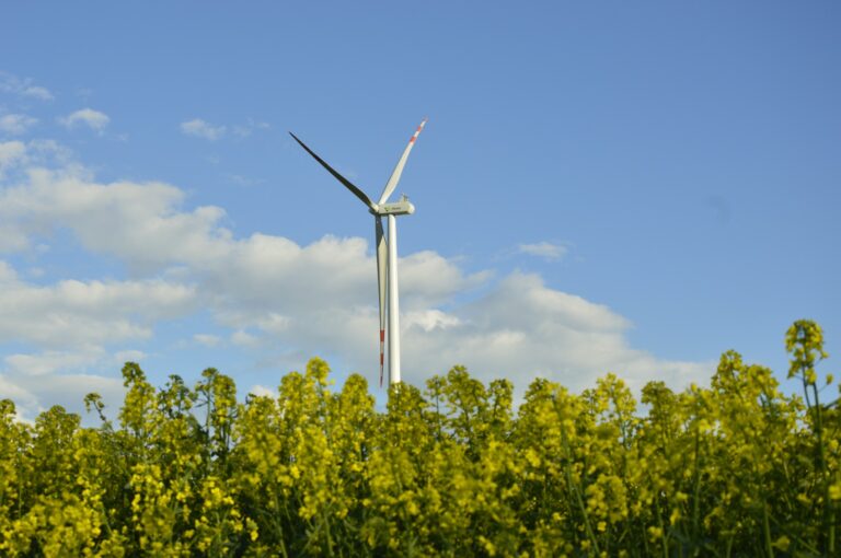 USA zasilane słońcem. Energia słoneczna stanowiła 84 procent nowych mocy w 2024 roku