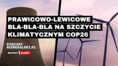Prawicowo-lewicowe bla-bla-bla na szczycie klimatycznym COP26. Spięcie BiznesAlert.pl. Grafika: Gabriela Cydejko.