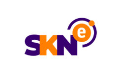 SKNE. Partner BiznesAlert.pl