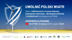 Uwolnić polski wiatr. Grafika: PSEW.