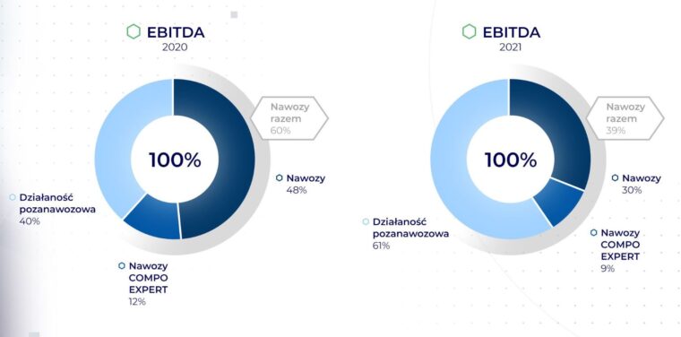 Struktura generowanego wyniku EBITDA w 2021 roku. Źródło: Grupa Azoty