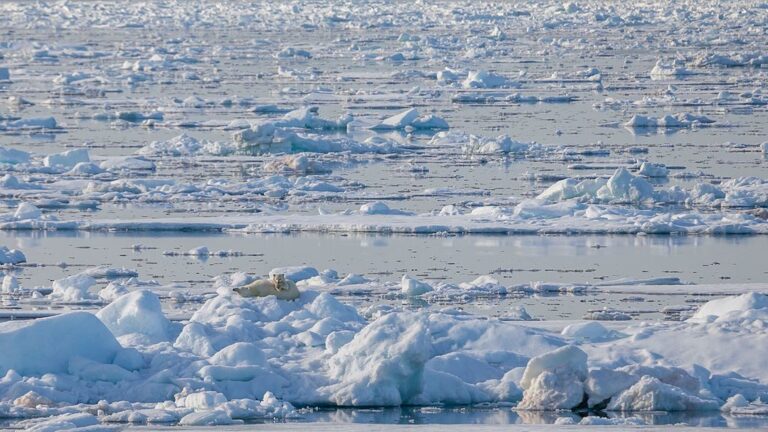 Eksperci: Topnienie lodowców może znacząco spowolnić prądy oceaniczne