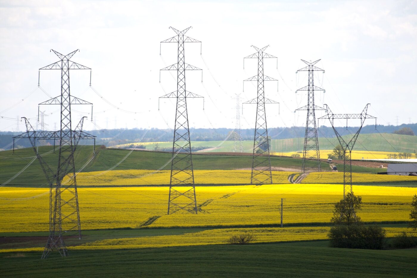 Sieć elektryczna