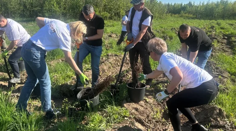 Wolontariusze KGHM dla środowiska – tysiące nowych sadzonek przy Hucie Miedzi Głogów