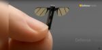 Chiny ujawniają drona Mosquito zasilanego przez AI, foto: screen YT Defence news