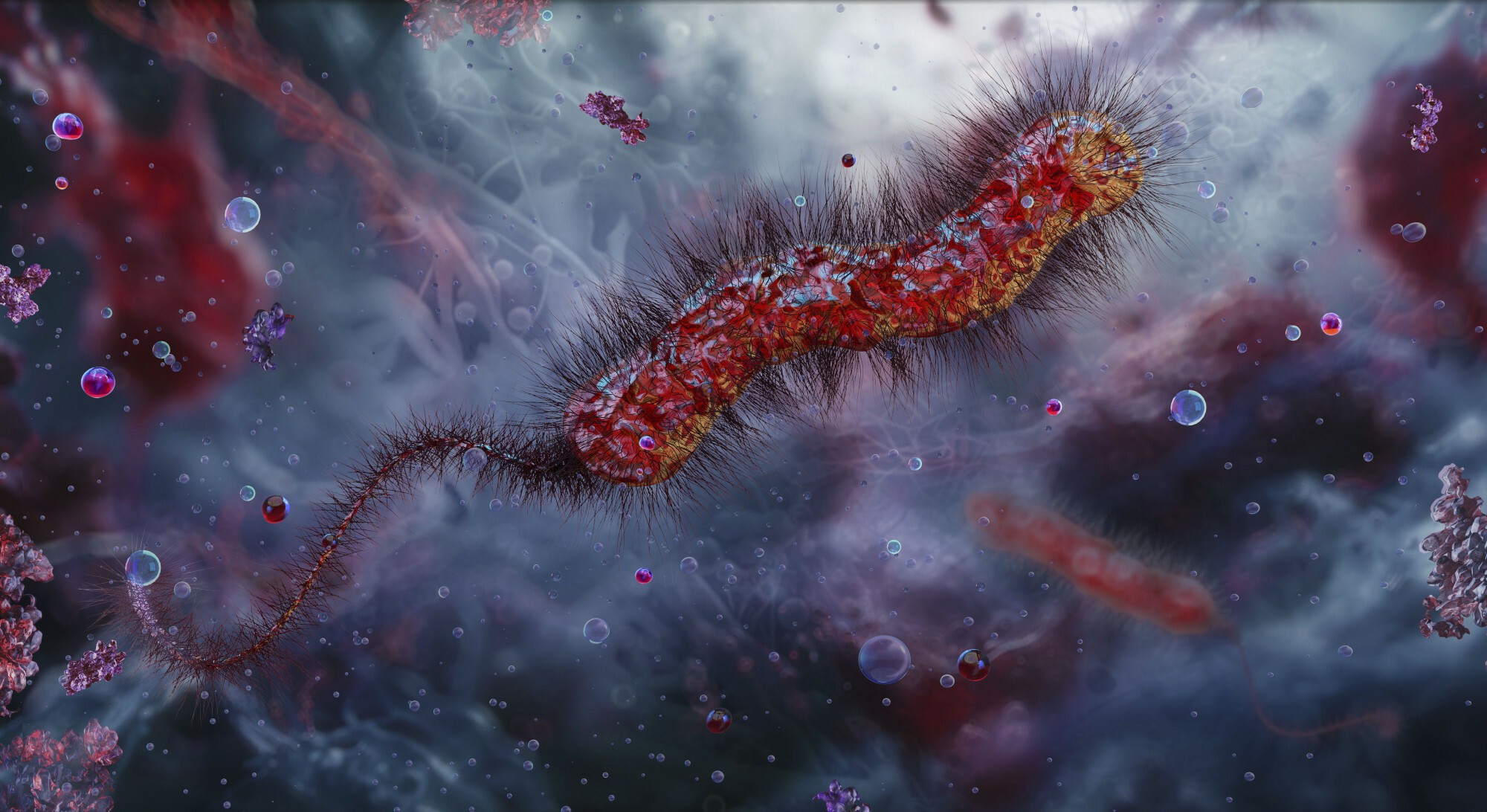 Cholera
