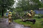 Przemyśl, 07.07.2025. Strażacy usuwają zniszczenia po burzy w Przemyślu, 7 bm. Instytut Meteorologii i Gospodarki Wodnej wydał ostrzeżenia I i II stopnia przed burzami z opadami deszczu i gradu oraz porywami wiatru. Alertami objęta jest zachodnia, południowo-wschodnia i południowa Polska. (jm) PAP/Darek Delmanowicz