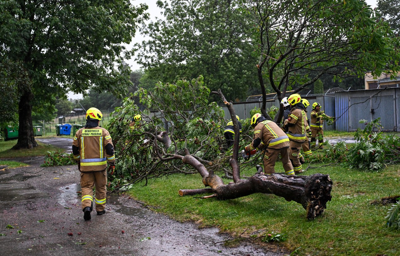 Przemyśl, 07.07.2025. Strażacy usuwają zniszczenia po burzy w Przemyślu, 7 bm. Instytut Meteorologii i Gospodarki Wodnej wydał ostrzeżenia I i II stopnia przed burzami z opadami deszczu i gradu oraz porywami wiatru. Alertami objęta jest zachodnia, południowo-wschodnia i południowa Polska. (jm) PAP/Darek Delmanowicz