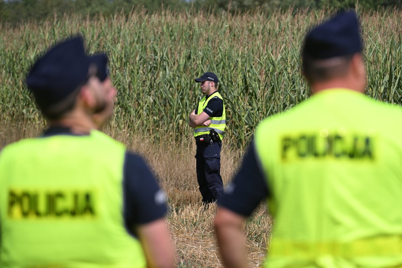 Służby zabiezpieczają teren pola kukurydzy w miejscowości Osiny, na które spadł niezidentyfikowany obiekt, foto: PAP/Wojtek Jargiło
