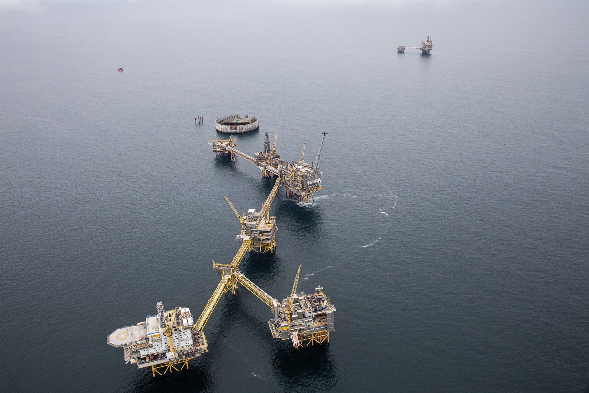 Strona główna Wikipedii. Fot. PAP/EPA/SASCHA STEINBACH