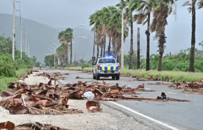 Radiowóz policyjny sprawdza zniszczenia na Jamajce Fot. PAP/EPA/Rudolph Brown