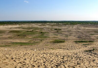 Pustynia Błędowska. Źródło: Wikimedia